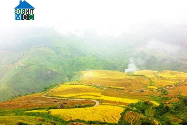 Hình ảnh Đăk Sao, Quảng Ngãi