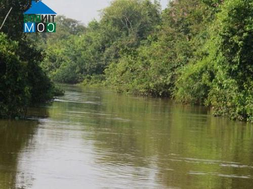 Hình ảnh Tân Tiến, Đồng Nai