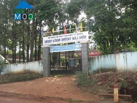 Hình ảnh Nghĩa Trung, Đồng Nai