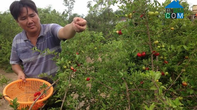 Hình ảnh Tân Hòa, Đồng Tháp