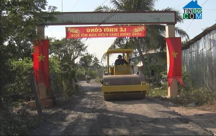 Hình ảnh Tân Thuận Bình, Đồng Tháp