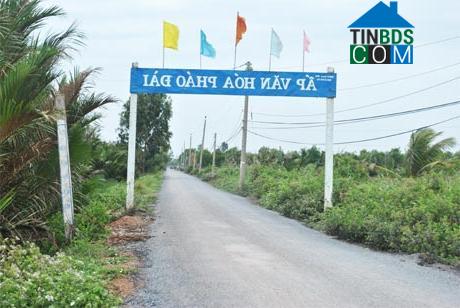 Hình ảnh Tân Phú Đông, Đồng Tháp