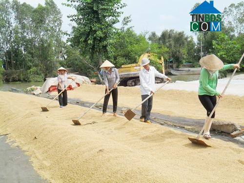 Hình ảnh Tân Phước 2, Đồng Tháp