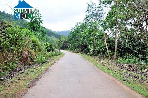 Hình ảnh An Lão, Gia Lai