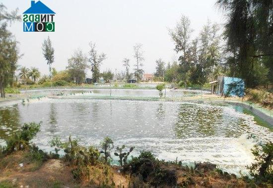 Hình ảnh An Lương, Gia Lai