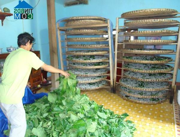 Hình ảnh Ân Hảo, Gia Lai