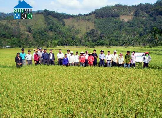 Hình ảnh An Vinh, Gia Lai