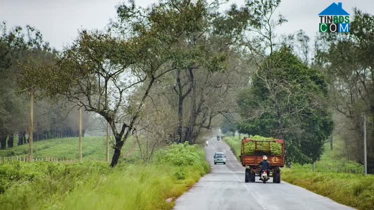Hình ảnh Bàu Cạn, Gia Lai