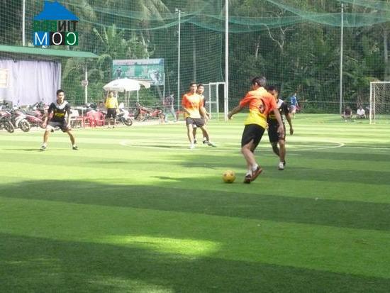 Hình ảnh Bồng Sơn, Gia Lai