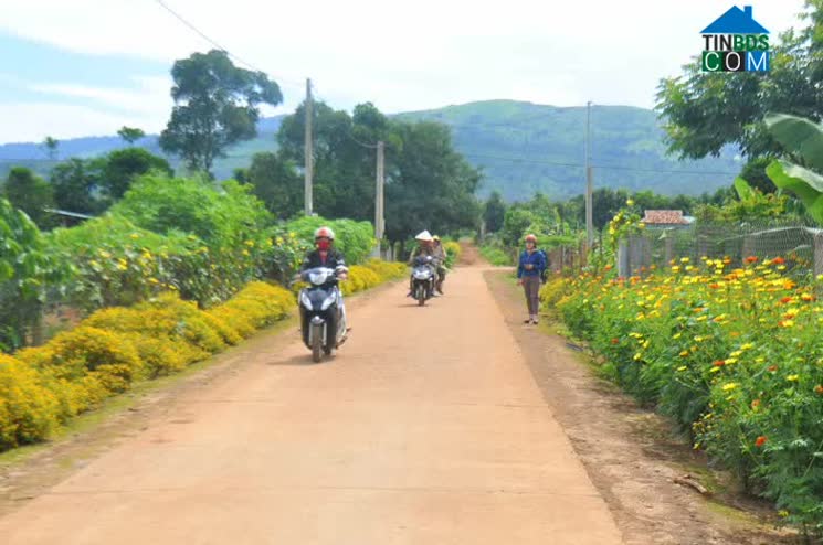 Hình ảnh Chư Păh, Gia Lai