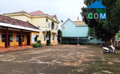 Hình ảnh KDang, Gia Lai