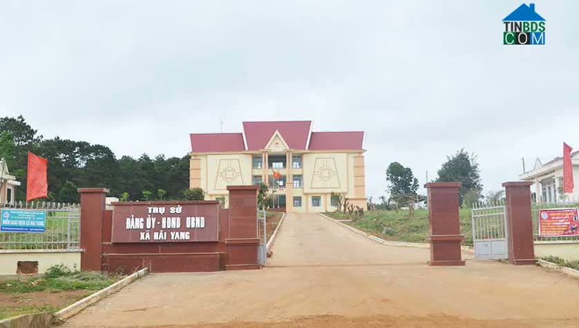 Hình ảnh Mang Yang, Gia Lai