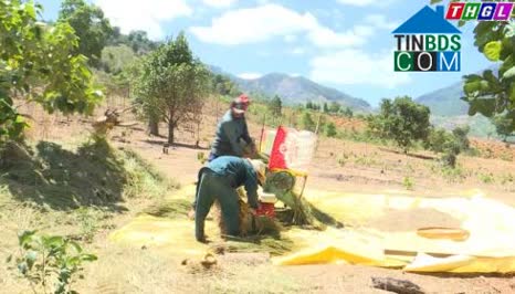 Hình ảnh Ia Ly, Gia Lai