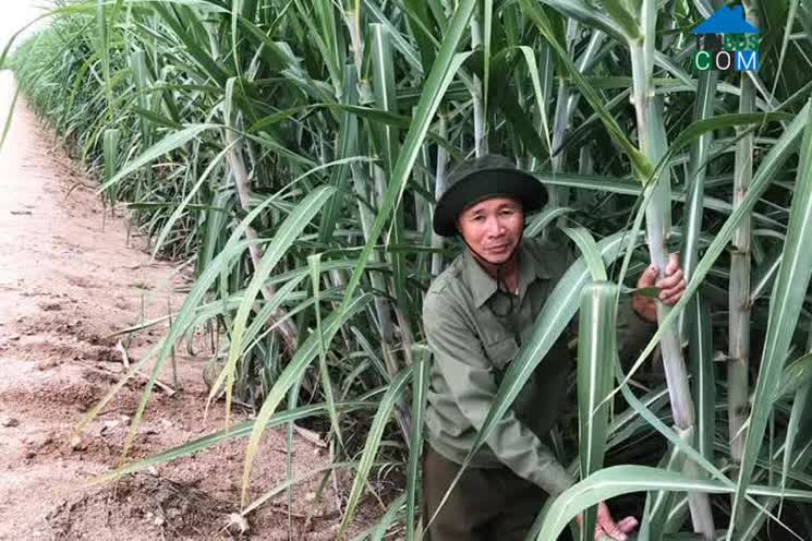 Hình ảnh Ia Tul, Gia Lai