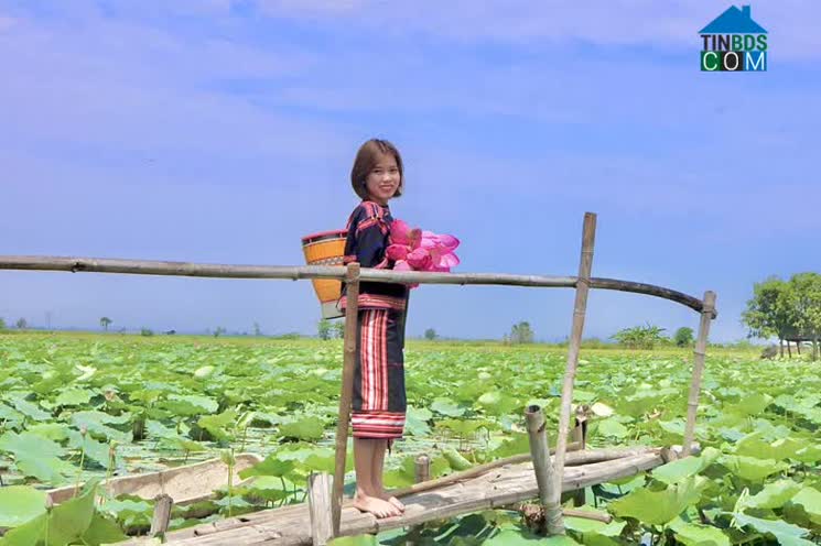 Hình ảnh Phú Thiện, Gia Lai