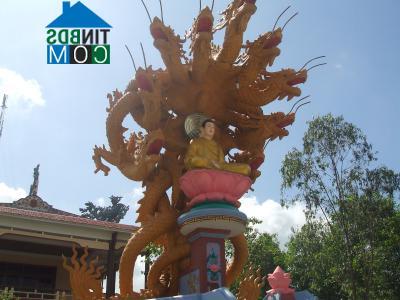 Hình ảnh Quy Nhơn Tây, Gia Lai