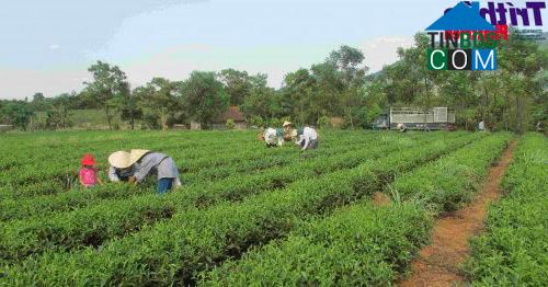 Hình ảnh Kỳ Thượng, Hà Tĩnh