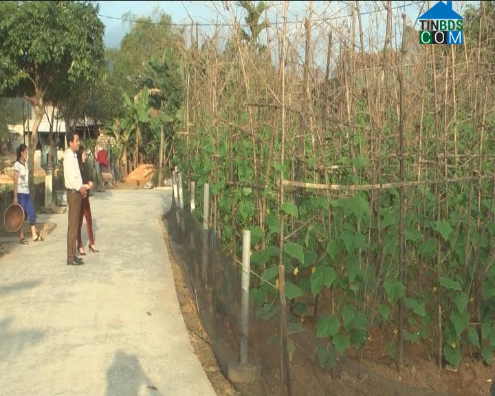 Hình ảnh Cẩm Trung, Hà Tĩnh