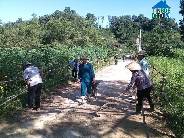 Hình ảnh Mai Hoa, Hà Tĩnh