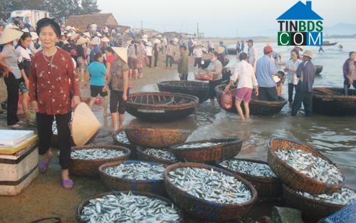 Hình ảnh Thiên Cầm, Hà Tĩnh