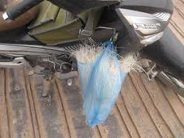 Hình ảnh Khoái Châu, Hưng Yên