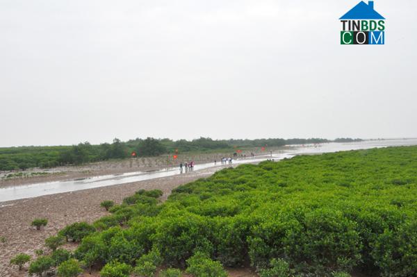 Hình ảnh Bắc Thụy Anh, Hưng Yên