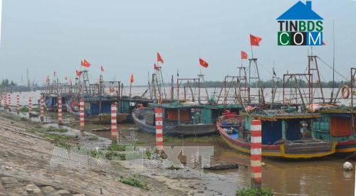 Hình ảnh Đông Thái Ninh, Hưng Yên