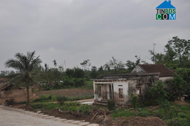 Hình ảnh Đông Tiền Hải, Hưng Yên