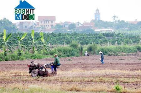 Hình ảnh Đức Hợp, Hưng Yên