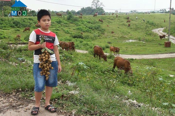 Hình ảnh Hồng Châu, Hưng Yên