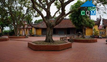 Hình ảnh Tây Thụy Anh, Hưng Yên