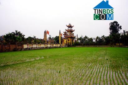 Hình ảnh Thư Trì, Hưng Yên