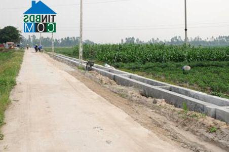 Hình ảnh Minh Thọ, Hưng Yên