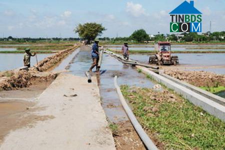 Hình ảnh Nam Tiên Hưng, Hưng Yên