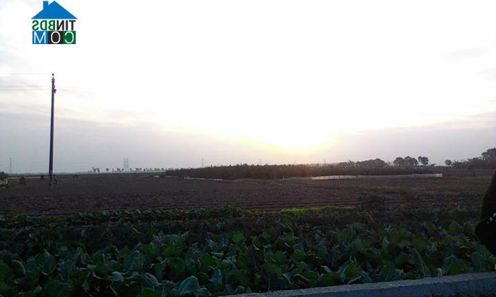 Hình ảnh Nghĩa Trụ, Hưng Yên