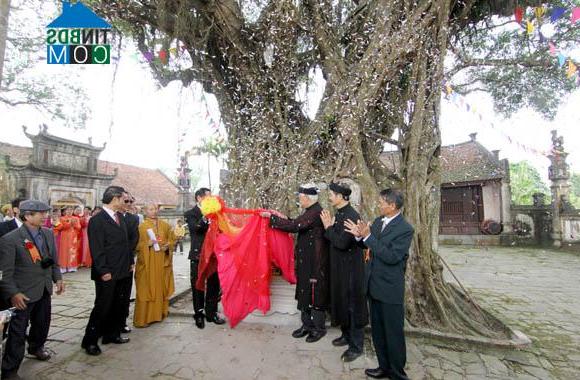 Hình ảnh Ngự Thiên, Hưng Yên