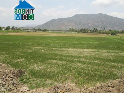 Hình ảnh Bác Ái, Khánh Hòa