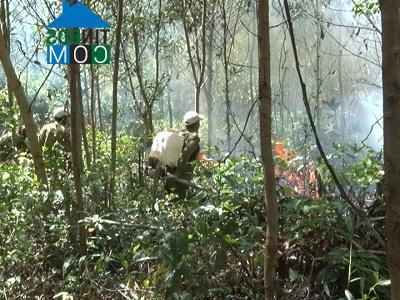 Hình ảnh Bắc Ninh Hòa, Khánh Hòa