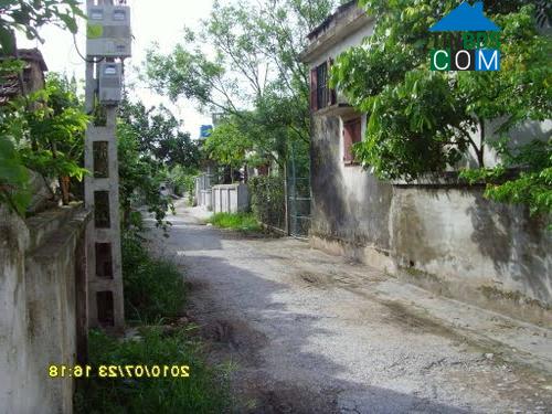 Hình ảnh Thư Vũ, Hưng Yên