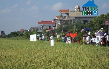 Hình ảnh Tiền Hải, Hưng Yên