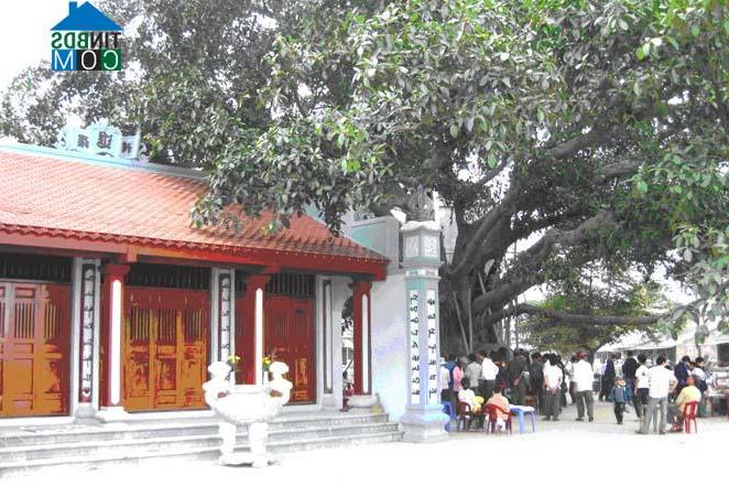 Hình ảnh Tống Trân, Hưng Yên