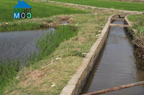 Hình ảnh Ninh Hòa, Khánh Hòa