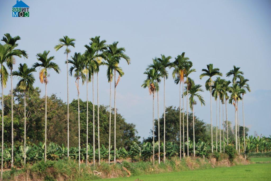 Hình ảnh Diên Khánh, Khánh Hòa