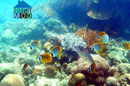 Hình ảnh Vạn Hưng, Khánh Hòa