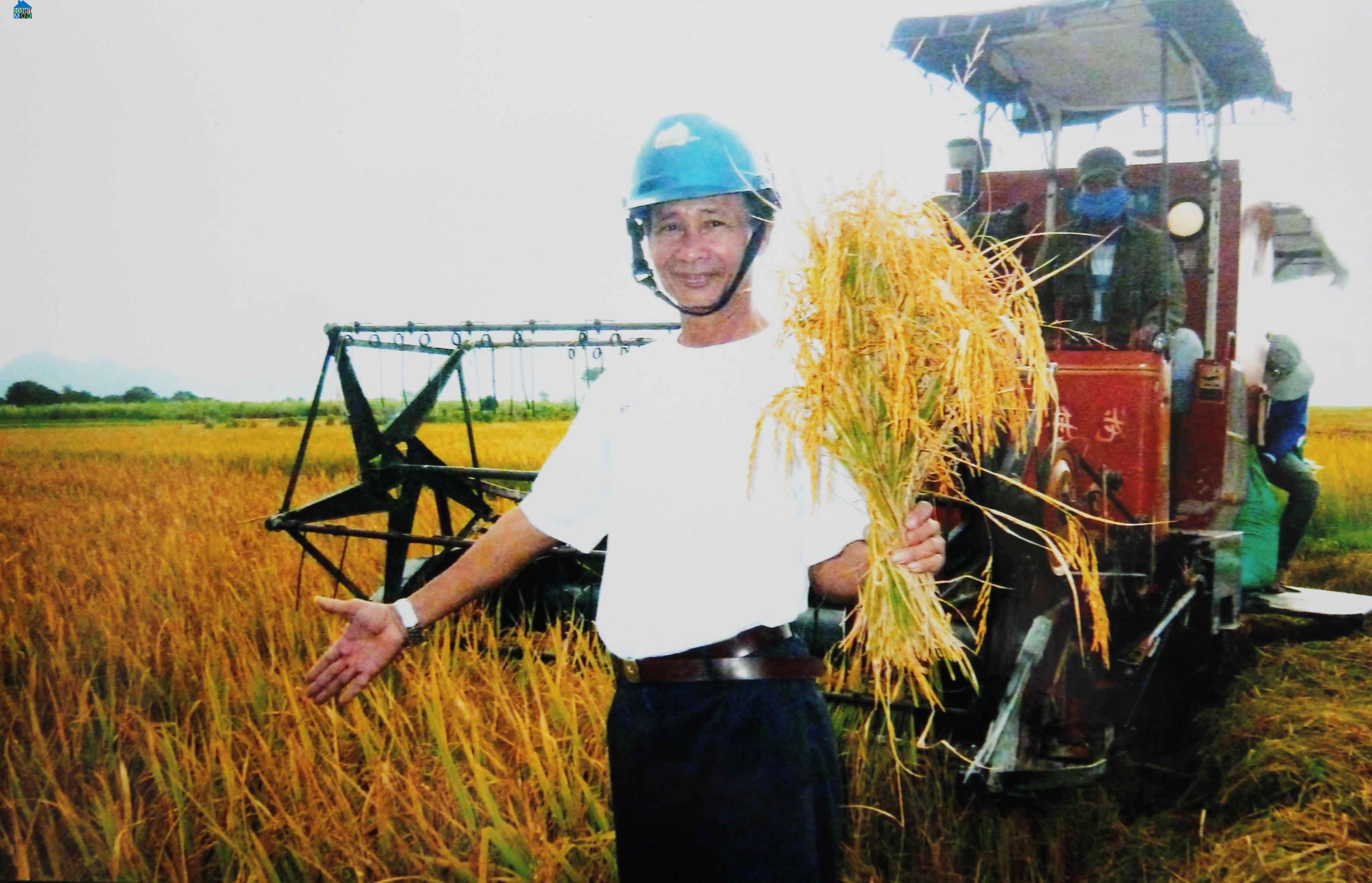 Hình ảnh Vạn Ninh, Khánh Hòa