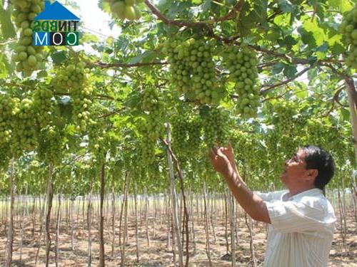 Hình ảnh Xuân Hải, Khánh Hòa