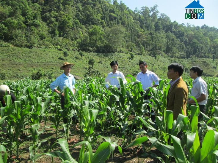 Hình ảnh Bình Lư, Lai Châu