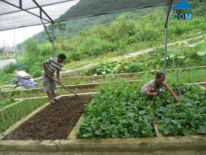 Hình ảnh Đoàn Kết, Lai Châu