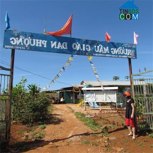 Hình ảnh Tân Hà Lâm Hà, Lâm Đồng