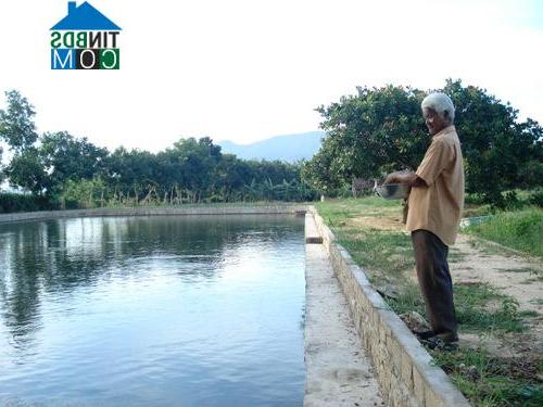 Hình ảnh Tân Minh, Lâm Đồng